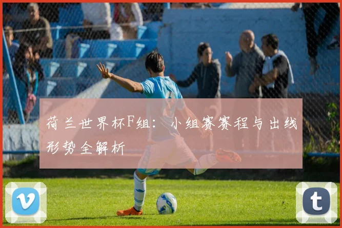 荷兰世界杯F组:小组赛赛程与出线形势全解析